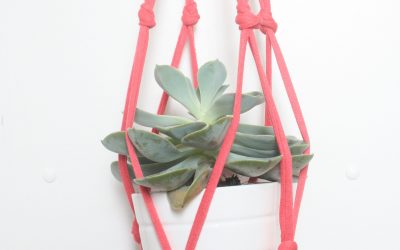 La suspension pour plante
