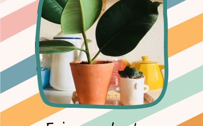 DIY plante : faire une bouture