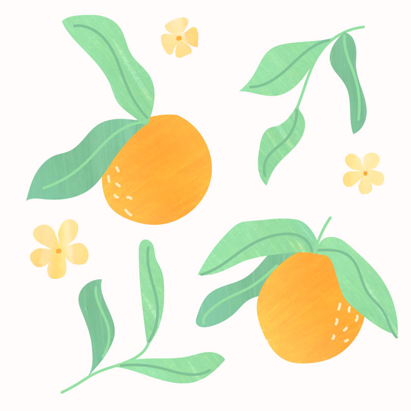 illustration orange