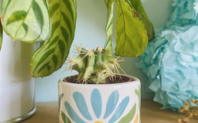 Déco végétale : inspirations avec objets faits main